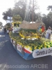 60 ans Fête du Mimosa - St trojan