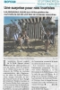 Dans la presse