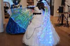 WhatsApp-Image-2026-01-19-at-21.55.21